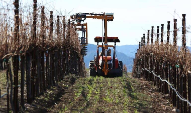 Spagnolo SG Spur Pruner Safe Work Method Statement
