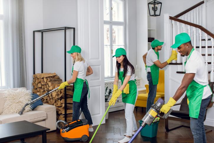 House Cleaner Job Description | Bluesafe.